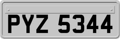 PYZ5344