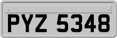 PYZ5348