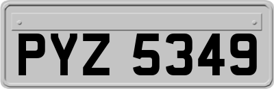 PYZ5349