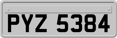 PYZ5384