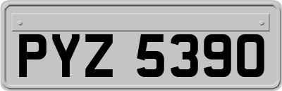PYZ5390
