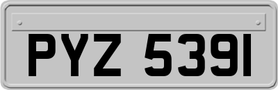 PYZ5391
