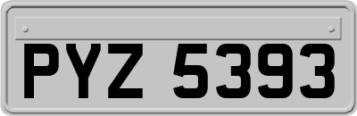 PYZ5393
