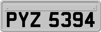 PYZ5394