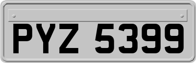 PYZ5399