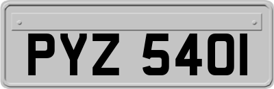 PYZ5401
