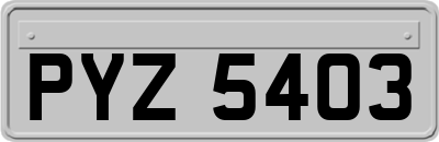 PYZ5403