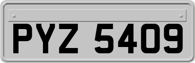 PYZ5409