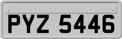 PYZ5446