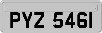 PYZ5461