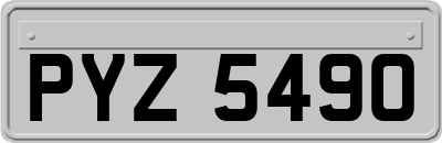 PYZ5490