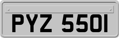 PYZ5501