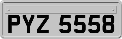PYZ5558