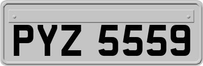 PYZ5559