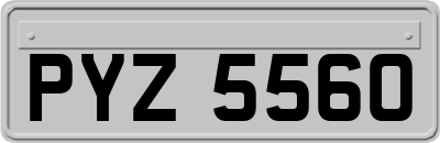 PYZ5560