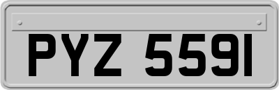 PYZ5591