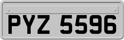 PYZ5596