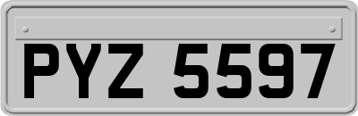 PYZ5597