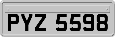 PYZ5598