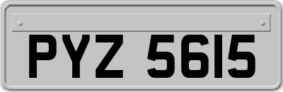 PYZ5615