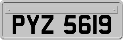 PYZ5619