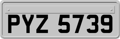 PYZ5739