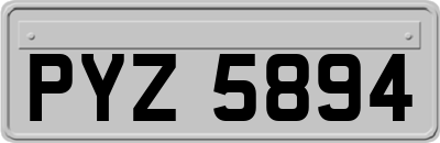 PYZ5894