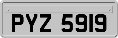 PYZ5919