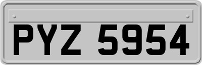 PYZ5954