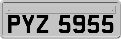 PYZ5955