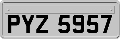 PYZ5957