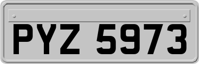 PYZ5973
