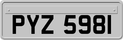PYZ5981
