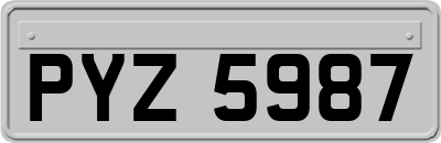 PYZ5987