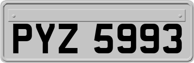 PYZ5993
