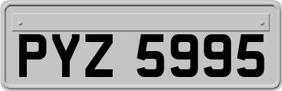 PYZ5995