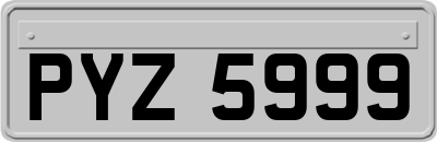 PYZ5999