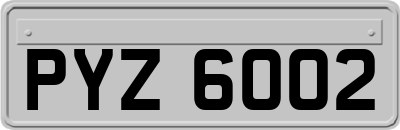 PYZ6002