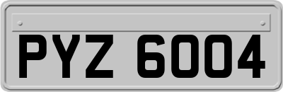 PYZ6004
