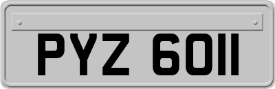 PYZ6011