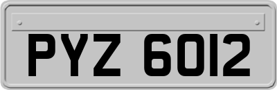 PYZ6012