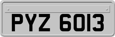 PYZ6013