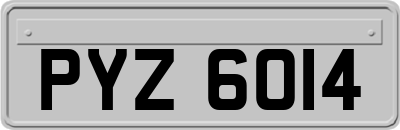 PYZ6014
