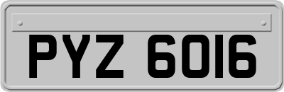 PYZ6016