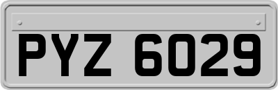 PYZ6029