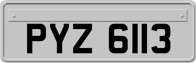 PYZ6113