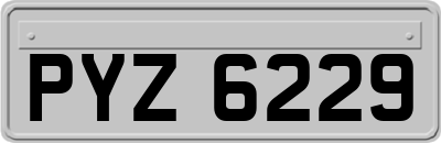 PYZ6229