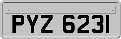 PYZ6231