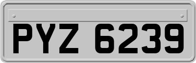 PYZ6239