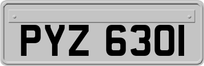 PYZ6301
